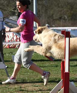 Mélanie Marat - Ostéopathe canin
